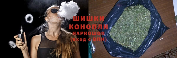 прущий лед Абаза