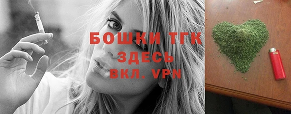 прущий лед Абаза