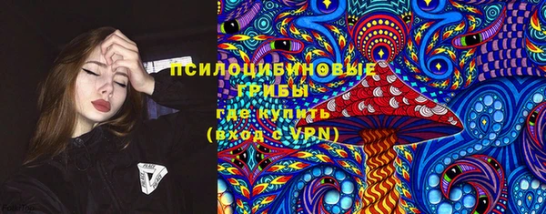 дурь Нягань